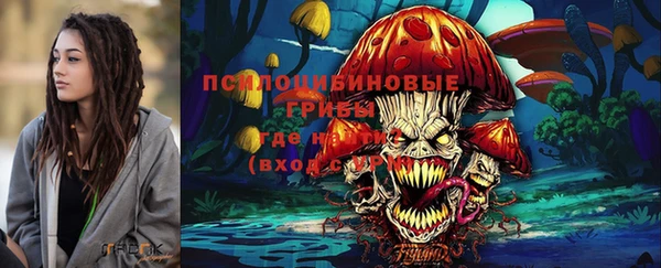 марки nbome Богородицк